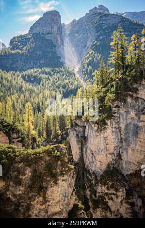 Panoramablick auf die Dolomiten im Herbst Stockfoto