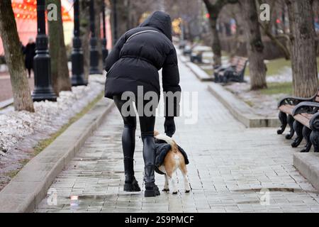 Ein Mädchen in engen Lederhosen geht im Winter mit einem Hund im Stadtpark Stockfoto