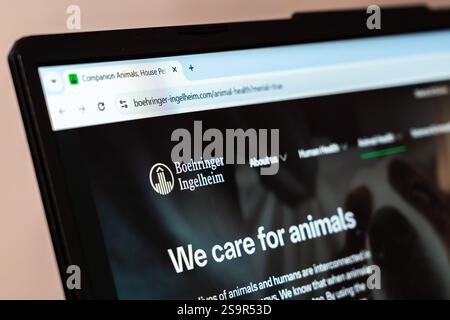 New York, USA - 26. Januar 2025: Die Homepage der boehringer ingelheim-Website wird auf dem Laptop-Bildschirm angezeigt Stockfoto