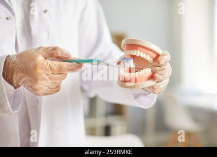 Nahaufnahme eines Zahnarztes, der das Zähneputzen am Kiefermodell demonstriert Stockfoto