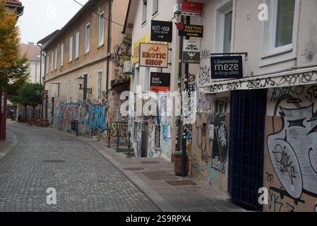 Graffiti bedecken Gebäudewände entlang einer schmalen Kopfsteinpflasterstraße in ljubljana mit verschiedenen Schildern. Stockfoto