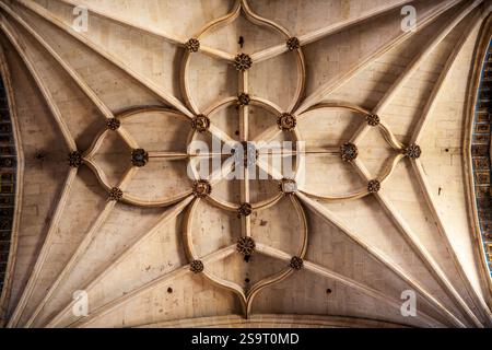 Salamanca, Spanien, 18. August 2018, komplizierte gotische Spuren an der Decke der neuen Kathedrale von Salamanca in Spanien. Stockfoto