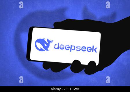 DeepSeek - chinesisches Unternehmen für künstliche Intelligenz Stockfoto