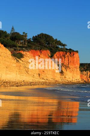 Strand von Porto de Mos, Lagos, Algarve, Portugal. Klarer blauer Himmel und goldene Klippen mit Reflexen auf nassem Sand. Am späten Nachmittag Sonnenlicht. Stockfoto