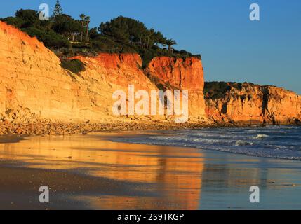 Strand von Porto de Mos, Lagos, Algarve, Portugal. Klarer blauer Himmel und goldene Klippen mit Reflexen auf nassem Sand. Am späten Nachmittag Sonnenlicht. Stockfoto
