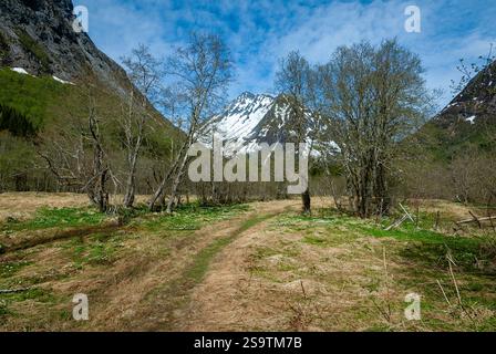 Schneebedeckte Gipfel erheben sich über einem ruhigen Pfad, der sich durch eine grüne Landschaft Norwegens schlängelt und abenteuerlustige Geister zum Erkunden anlockt. Stockfoto