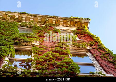 Ein leuchtendes rotes Backsteinhaus ist mit grünen Weinstöcken bedeckt und zeigt die Schönheit der Natur vor einem hellblauen Himmel. Stockfoto