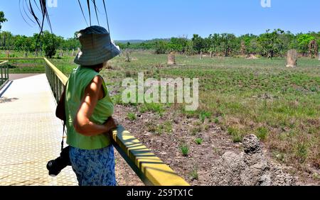 Eine Frau, die von den majestätischen Magnetic Termite (Amitermes meridionalis) im Litchfield National Park begeistert ist – eines der wahren Wunder der Natur.“ Stockfoto