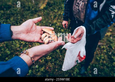 Mann Pilzpflücker, der saisonale Pilzernte im Schatten des Waldes erntet Stockfoto