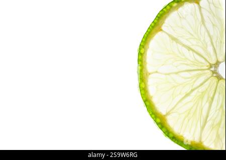 Dünne Scheibe Kalk mit Hintergrundbeleuchtung auf weißem Hintergrund Stockfoto