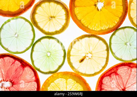 Hintergrundbeleuchtete Schicht aus Zitrusfrüchten, Zitrone, Limette, Orange und Grapefruit Stockfoto