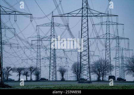 Große Stromleitung, 380 KV Hochspannungsleitungen, bei Rommerskirchen, im Nebel, Winter, Landstraße L93 nach Stommeln, Nordrhein-Westfalen, Keim Stockfoto