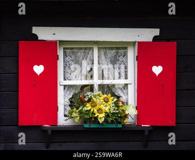 Ein bezauberndes Fenster mit roten Fensterläden mit weißen Herzformen, geschmückt mit Spitzenvorhängen und einem farbenfrohen Blumenkasten mit Sonnenblumen und Ggree Stockfoto