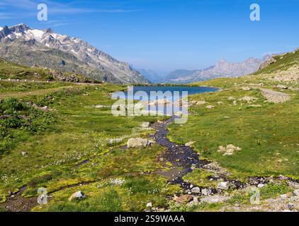 Eine ruhige Landschaft des Sustenpasses in der Schweiz mit einem klaren blauen See umgeben von üppigen grünen Wiesen und felsigen Bergen im Hintergrund. Stockfoto