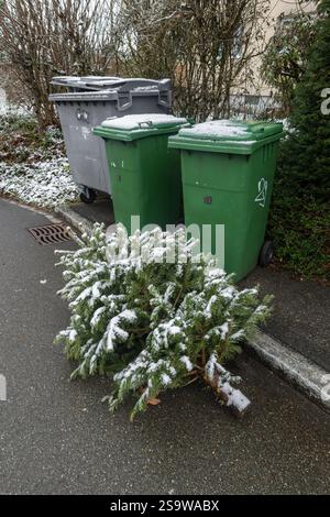 Ein schneebedeckter Weihnachtsbaum liegt in der Nähe grauer und grüner Recyclingbehälter auf einer Wohnstraße. Die Szene schlägt vor, nach Feiertagen aufzuräumen. Stockfoto