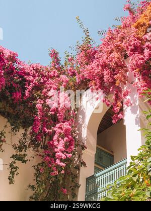 Elegantes Foto mit traditioneller marokkanischer Architektur, das die komplizierten geometrischen Muster, kunstvollen Fliesen und Bögen hervorhebt Stockfoto