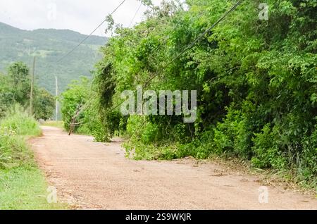 Ein Utility Pole wurde während des Hurrikans Beryl am 3. Juli 2024 beschädigt Stockfoto