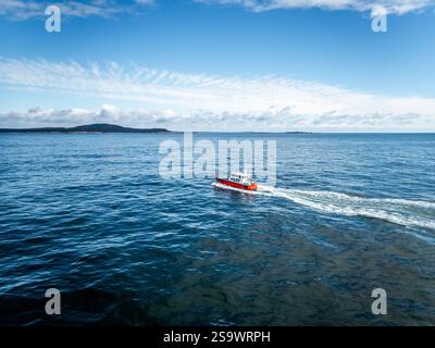 Pilotboot für die Cat-Fähre, die von Yarmouth Nova Scotia Kanada nach Bar Harbor Maine USA fährt Stockfoto