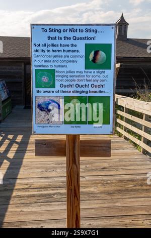 Ein Schild im Myrtle Beach State Park, das vor stechenden Quallen im Wasser in der Nähe von Myrtle Beach, South Carolina, USA, warnt. Stockfoto