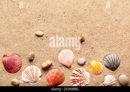 Komposition mit wunderschönen Muscheln und Kieselsteinen auf Sand Stockfoto
