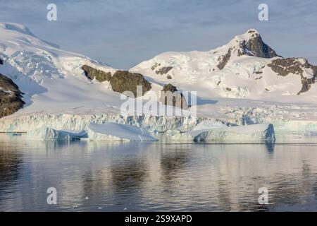 Eisberge in Cuverville, Antarktis. Stockfoto