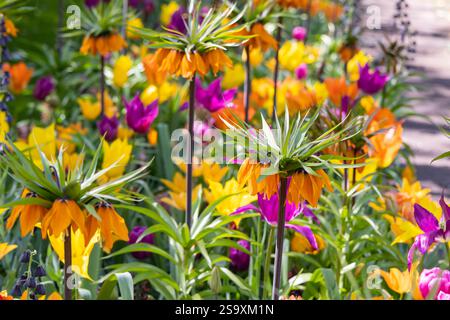 Niederlande, Südholland, Lisse. Mehrfarbige Blumen in einem formellen Garten. Stockfoto