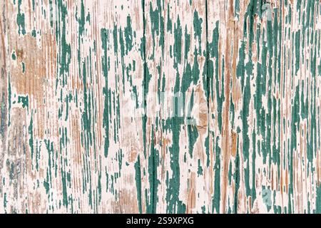 Aigues-Mortes, Gard, Okzitanien, Frankreich. Grüne Farbe blätterte von einer Holztür ab. Stockfoto