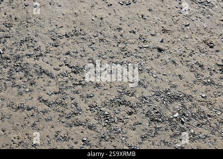 Nahaufnahme des Sandsteinstrandes - North Wales, Großbritannien Stockfoto