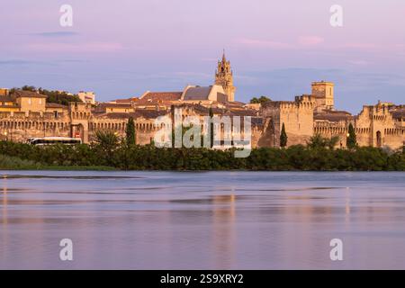 Avignon, Vaucluse, Provence-Alpes-Cote d'Azur, Frankreich. Palais des Papes, Palast der Päpste, in Avignon. Stockfoto