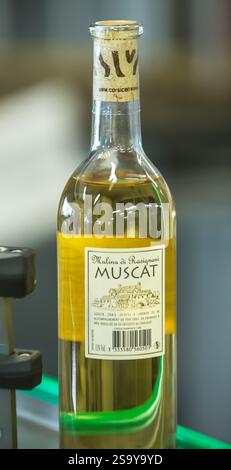 FRANKREICH. HAUTE-CORSE ((2B) BORGO. GENOSSENSCHAFT UVAL (UNION DES VIGNERONS ASSOCIES DU LEVANT) Stockfoto