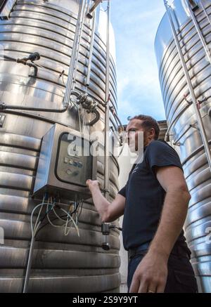 FRANKREICH. HAUTE-CORSE ((2B) BORGO. GENOSSENSCHAFT UVAL (UNION DES VIGNERONS ASSOCIES DU LEVANT) Stockfoto