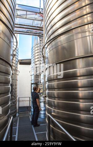 FRANKREICH. HAUTE-CORSE ((2B) BORGO. GENOSSENSCHAFT UVAL (UNION DES VIGNERONS ASSOCIES DU LEVANT) Stockfoto