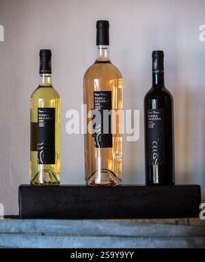 FRANKREICH. HAUTE-CORSE ((2B) BORGO. GENOSSENSCHAFT UVAL (UNION DES VIGNERONS ASSOCIES DU LEVANT) Stockfoto