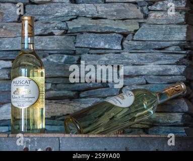 FRANKREICH. HAUTE-CORSE ((2B) BORGO. GENOSSENSCHAFT UVAL (UNION DES VIGNERONS ASSOCIES DU LEVANT) Stockfoto