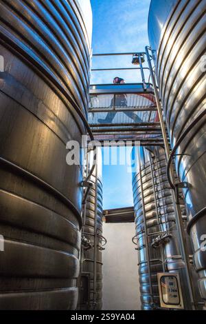 FRANKREICH. HAUTE-CORSE ((2B) BORGO. GENOSSENSCHAFT UVAL (UNION DES VIGNERONS ASSOCIES DU LEVANT) Stockfoto