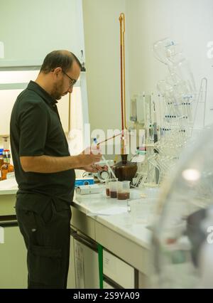 FRANKREICH. HAUTE-CORSE ((2B) BORGO. GENOSSENSCHAFT UVAL (UNION DES VIGNERONS ASSOCIES DU LEVANT) Stockfoto