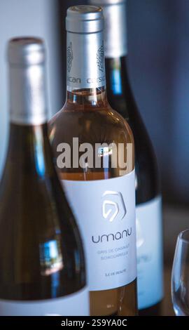 FRANKREICH. HAUTE-CORSE ((2B) BORGO. GENOSSENSCHAFT UVAL (UNION DES VIGNERONS ASSOCIES DU LEVANT) Stockfoto