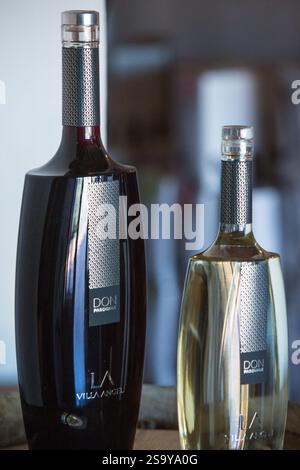 FRANKREICH. HAUTE-CORSE ((2B) BORGO. GENOSSENSCHAFT UVAL (UNION DES VIGNERONS ASSOCIES DU LEVANT) Stockfoto