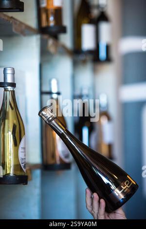 FRANKREICH. HAUTE-CORSE ((2B) BORGO. GENOSSENSCHAFT UVAL (UNION DES VIGNERONS ASSOCIES DU LEVANT) Stockfoto