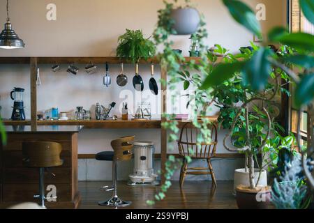 Stilvoller Raum mit Zimmerpflanzen Stockfoto