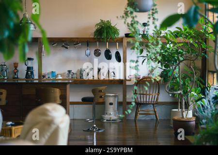 Stilvoller Raum mit Zimmerpflanzen Stockfoto