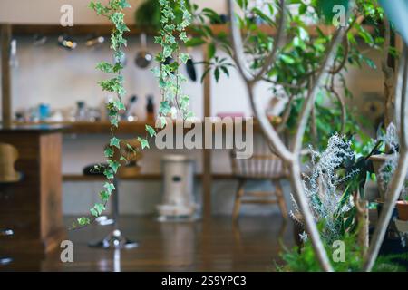 Stilvoller Raum mit Zimmerpflanzen Stockfoto