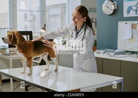 Der Tierarzt mit weißem Fell überprüft die Gesundheit eines braunen und weißen Hundes am Untersuchungstisch in der modernen Tierarztklinik. Ein lächelnder Tierarzt hält den Hund sanft am Vorderbein, während er Updates schreibt Stockfoto