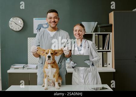 Porträt von zwei Tierärzten, die einen Hund auf dem Tisch in der Klinik untersuchen, mit tierärztlichen Geräten und Aufbewahrung im Hintergrund sichtbar, um ein professionelles Umfeld zu erhalten Stockfoto