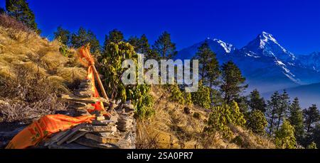 Annapurna Range, Trek zum Annapurna Basislager, Annapurna Conservation Area, Himalaya, Nepal, Asien Stockfoto