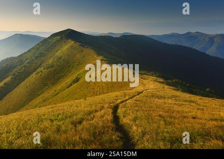 Ein landschaftlich reizvoller Weg auf dem Strimba Peak in den Karpaten, Gorgany Range, während der Golden Hour, Synevyr National Nature Park, mit einem weiten Panoramablick. Stockfoto