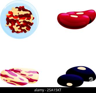 Verschiedene Bean-Symbole setzen den Cartoon-Vektor. Rote und schwarze Bohnen. Hülsenfrüchte, Lebensmittelkonzept. Verschiedene Bean-Symbole setzen den Cartoon-Vektor. Rote und schwarze Bohnen Stock Vektor