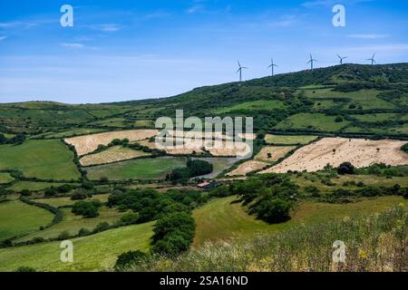 Landwirtschaftlich genutzte Landschaft Sardiniens mit bewaldeten Hügeln, Feldern und Weiden, Windturbinen auf einem Bergrücken in der Ferne. Stockfoto
