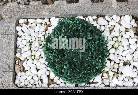 Künstlicher Boxholzball, Deutschland, Europa Stockfoto