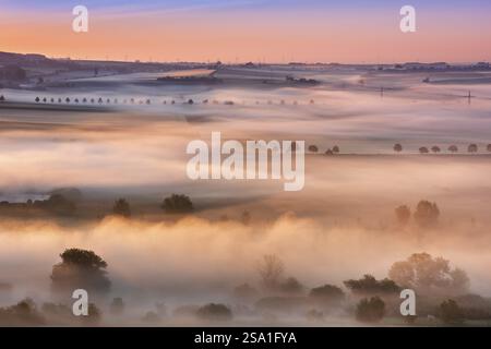 Kulturlandschaft bei Sonnenaufgang, Morgennebel im ersten Licht, Unstruttal, Freyburg (Unstrut), Sachsen-Anhalt, Deutschland, Europa Stockfoto